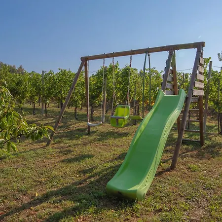 Vineyard Brodaric - Happy * Metlika